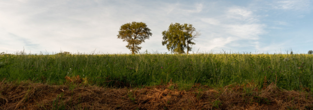 Aveyron Hills