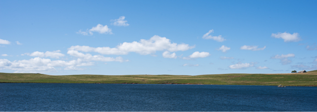 Aubrac