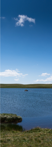 Aubrac Eternity