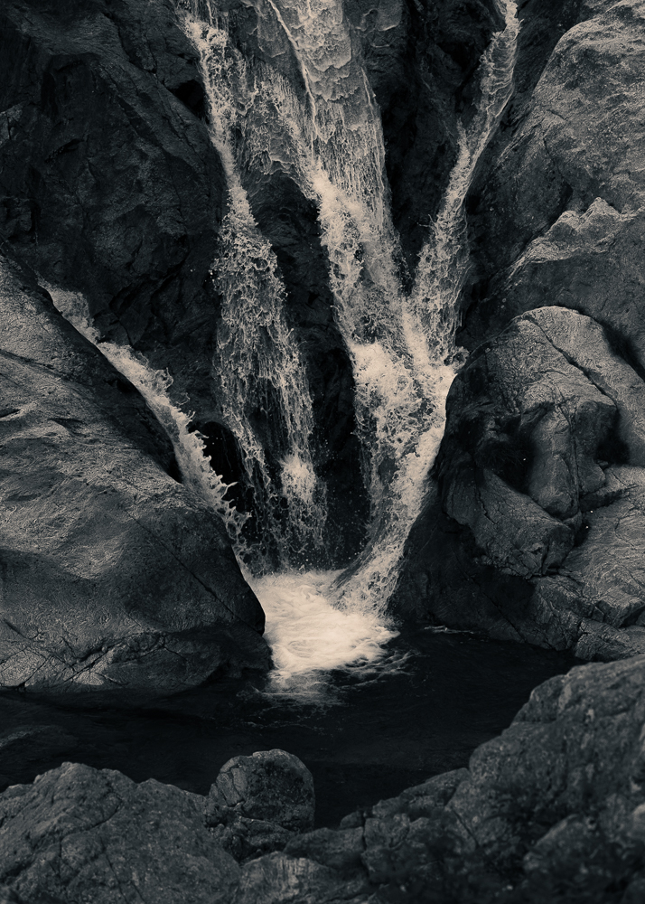 Charcoaled