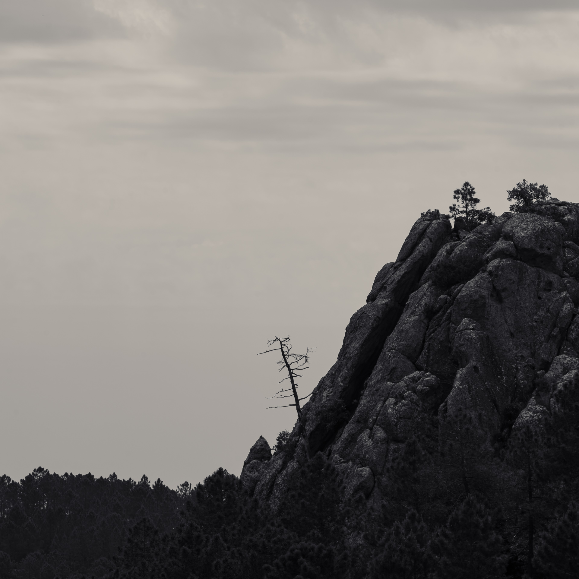 Counter Sisyphus