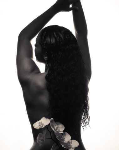 portrait_orchids