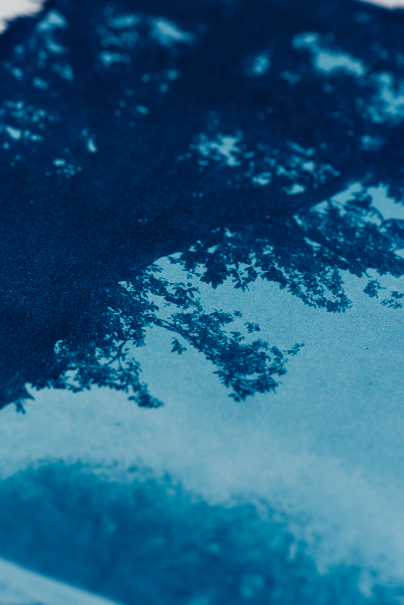 Lonely Tree – Image 2